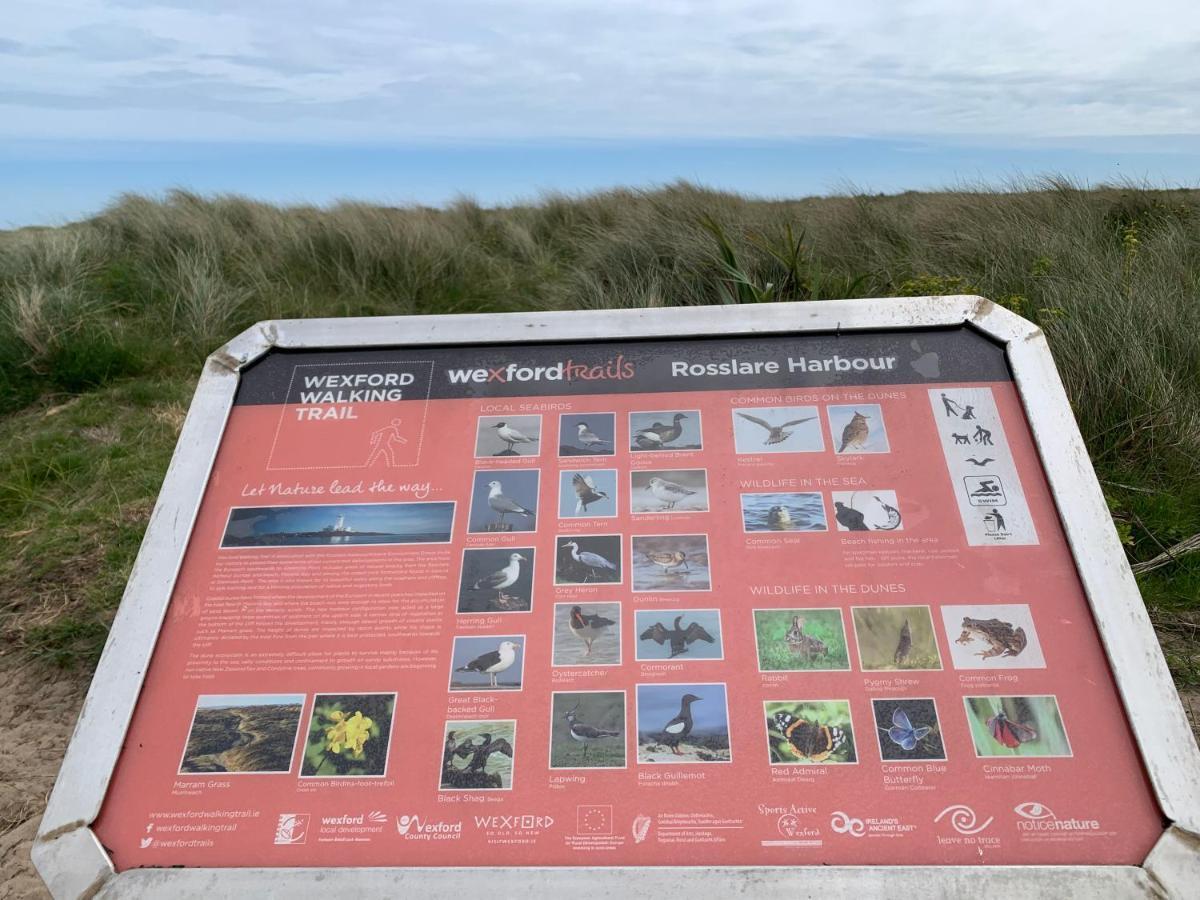 St Martin'S, Rosslare Harbour Guest Accommodation Ngoại thất bức ảnh